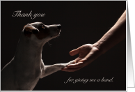 Thank You Dog Paw in Human Hand Helping card