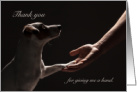 Thank You Dog Paw in Human Hand Helping card