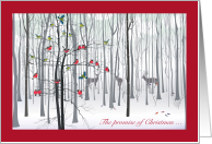 The Promise of Christmas Winter Woodland Forest Religious card