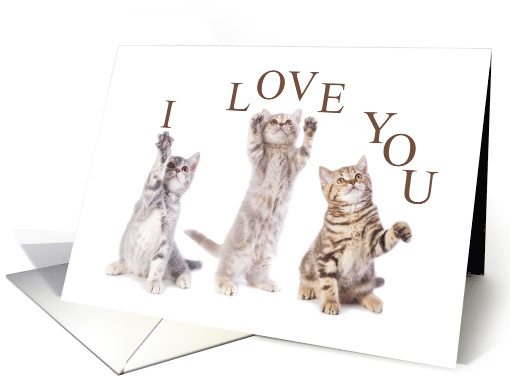 I Love You FURRever Cute Kittens card (1589604)