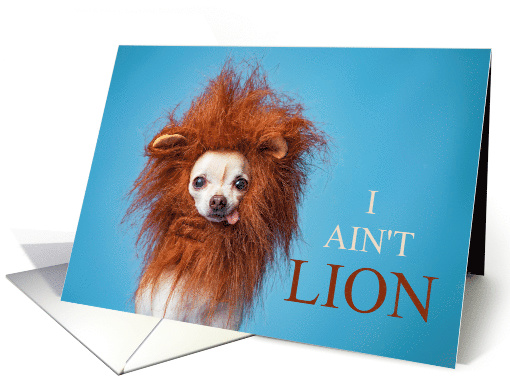 Funny Chihuahua I Ain't Lion I Love You card (1592652)