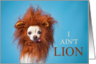 Funny Chihuahua I Ain’t Lion I Love You card