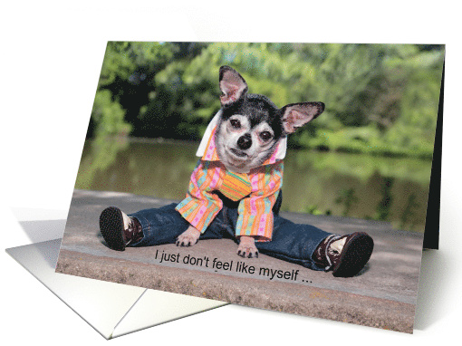 Funny Miss You Chihuahua in Clothes card (1592656)