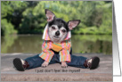 Funny Miss You Chihuahua in Clothes card