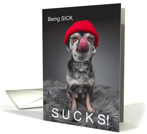 Funny Get Well Chihuahua Sick Chihuahua card (1592662)