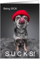 Funny Get Well Chihuahua Sick Chihuahua card