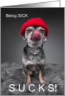 Funny Get Well Chihuahua Sick Chihuahua card