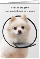 Funny Get Well Dog in a Cone for Injury or Accident card