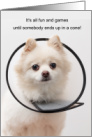Funny Get Well Dog in a Cone for Injury or Accident card