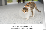 Funny Get Well Cat in a Cone for Injury or Accident card