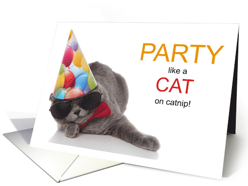 Funny Cat Lover Birthday Hangover Kitty card (1595716)