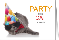 Funny Cat Lover Birthday Hangover Kitty card