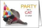 Funny Cat Lover Birthday Hangover Kitty card