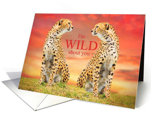 Wild About You Cheetahs Sweet Love and Romance card (1599142)