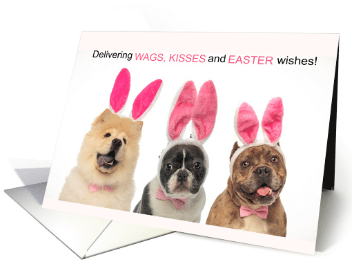 Easter Dogs in Bunny Ears Funny Wags and Kisses card (1602840)