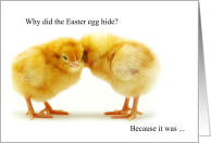 for Kids Funny Easter Joke and Two Baby Chicks card