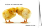 for Kids Funny Easter Joke and Two Baby Chicks card