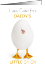 Daddy to Be on Easter Funny Little Chick and Egg card