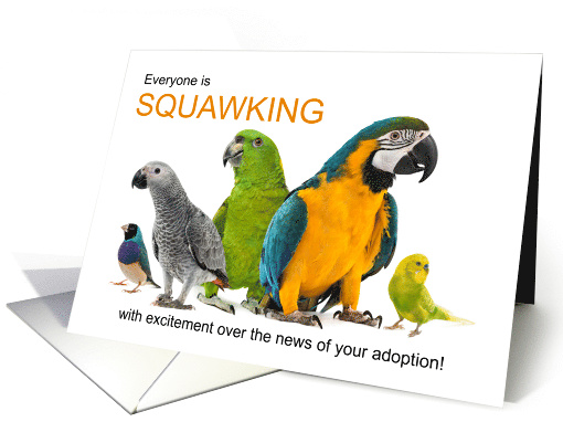Parrot Adoption Congratulations Isolated Pet Birds card (1617446)