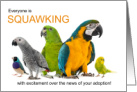 Parrot Adoption Congratulations Isolated Pet Birds card