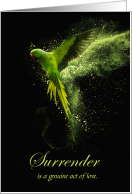 Parrot Surrender Rehoming Indian Ringneck Parrot card