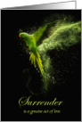 Parrot Surrender Rehoming Indian Ringneck Parrot card