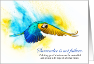 Parrot Surrender Blue and Gold Macaw in Flight card