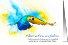 Parrot Surrender Blue and Gold Macaw in Flight card
