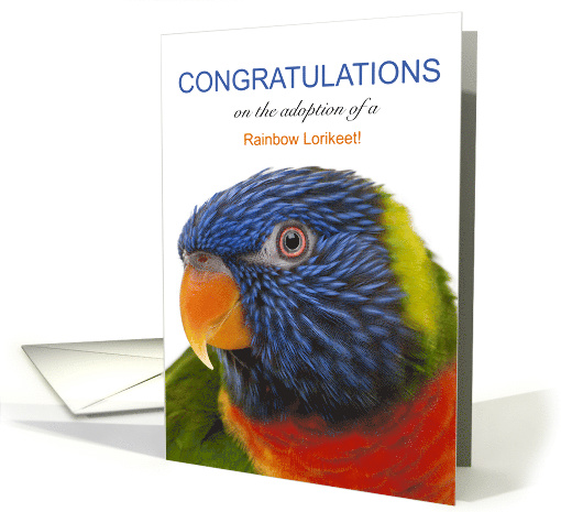 Rainbow Lorikeet Adoption Congratulations card (1617474)