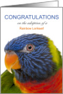 Rainbow Lorikeet Adoption Congratulations card