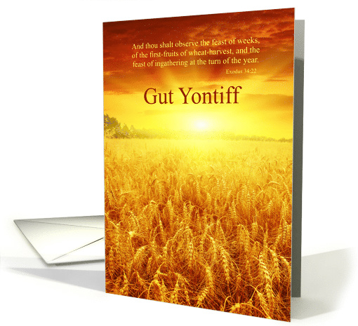Shavuot Gut Yontiff Golden Wheat Field Exodus 34:22 card (1621012)
