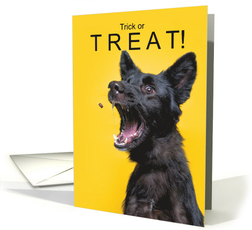 Funny Dog Trick or TREAT Halloween card (1638596)