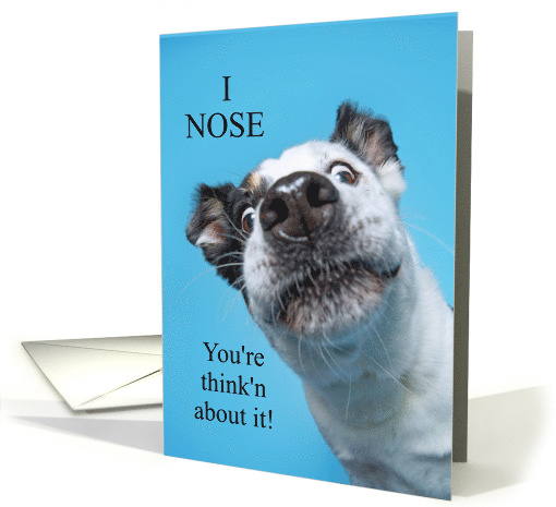Funny Birthday Cattle Dog Getting Old card (1638602)