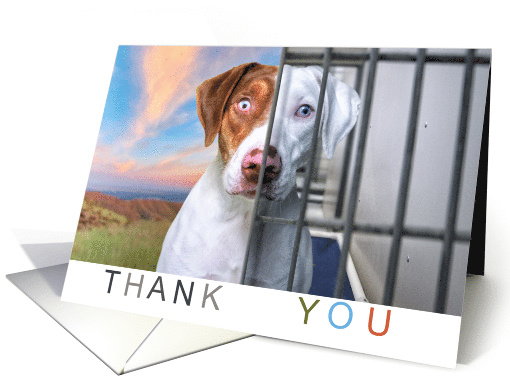 Donation Thank You Shelter Dog New Life card (1638634)