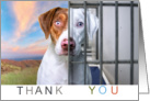 Donation Thank You Shelter Dog New Life card