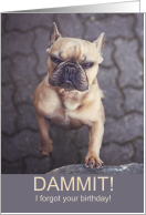 Mad French Bulldog Funny Belated Birthday card