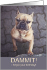 Mad French Bulldog Funny Belated Birthday card