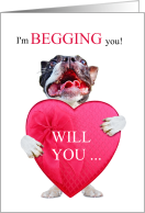 Boston Terrier Be My Valentine with Pink Heart card