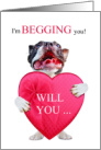 Boston Terrier Be My Valentine with Pink Heart card
