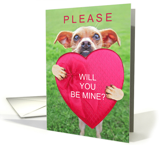 From the Dog Cute Be Mine Valentine Chihuahua card (1646086)