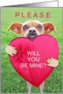 From the Dog Cute Be Mine Valentine Chihuahua card