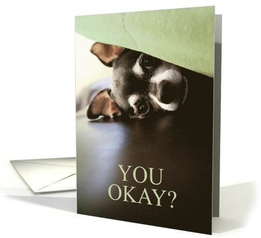Thinking of You Cute Peeking Chihuahua card (1646092)