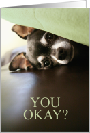 Thinking of You Cute Peeking Chihuahua card