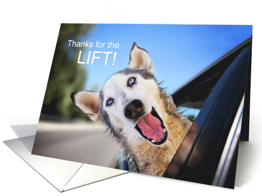Thanks for the Lift Funny Dog Out the Car Window card (1647990)
