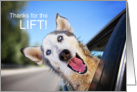 Thanks for the Lift Funny Dog Out the Car Window card