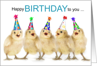 Birthday Whimsical Chicks in Party Hats Singing card