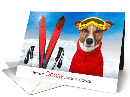 Skier Funny Have a Gnarly Season Dawg Winter Holiday card (1671652)