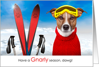 Skier Funny Have a Gnarly Season Dawg Winter Holiday card