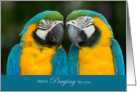 Praying for You Two Macaw Parrots Encouragement card
