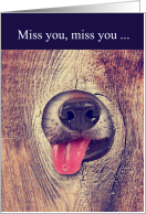 Miss You Funny Dog Lover Kisses card
